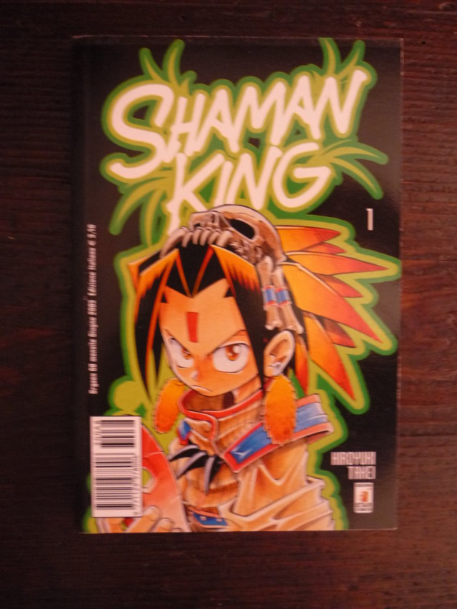 Shaman King